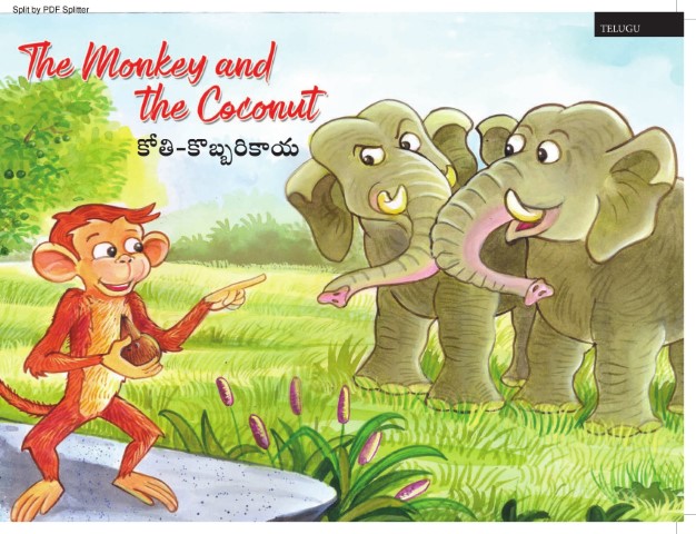 The Monkey and the Coconut